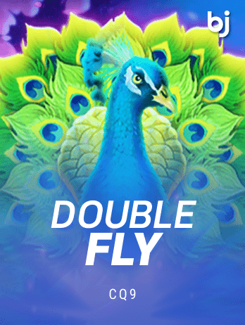 Double Fly icon